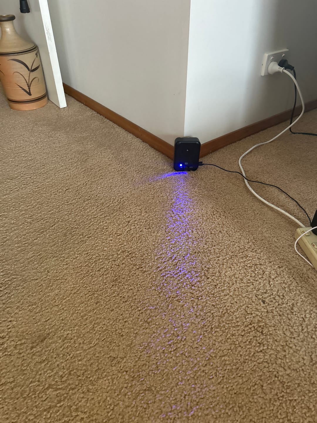 Customer photo review of Dog Bark Silencer