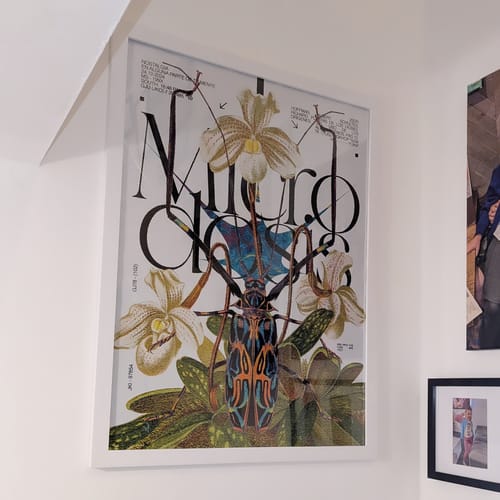 Customer photo review of Microdosis