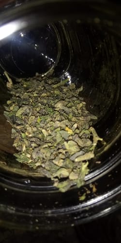 Customer photo review of Exotic Shake