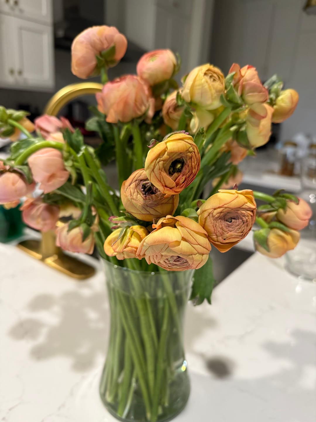 Customer photo review of Coral Peach Ranunculus