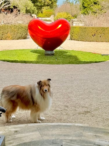Customer photo review of Red Shiny Hearts Inflatable Mirror Ball Reusable Big Bubble Balloon