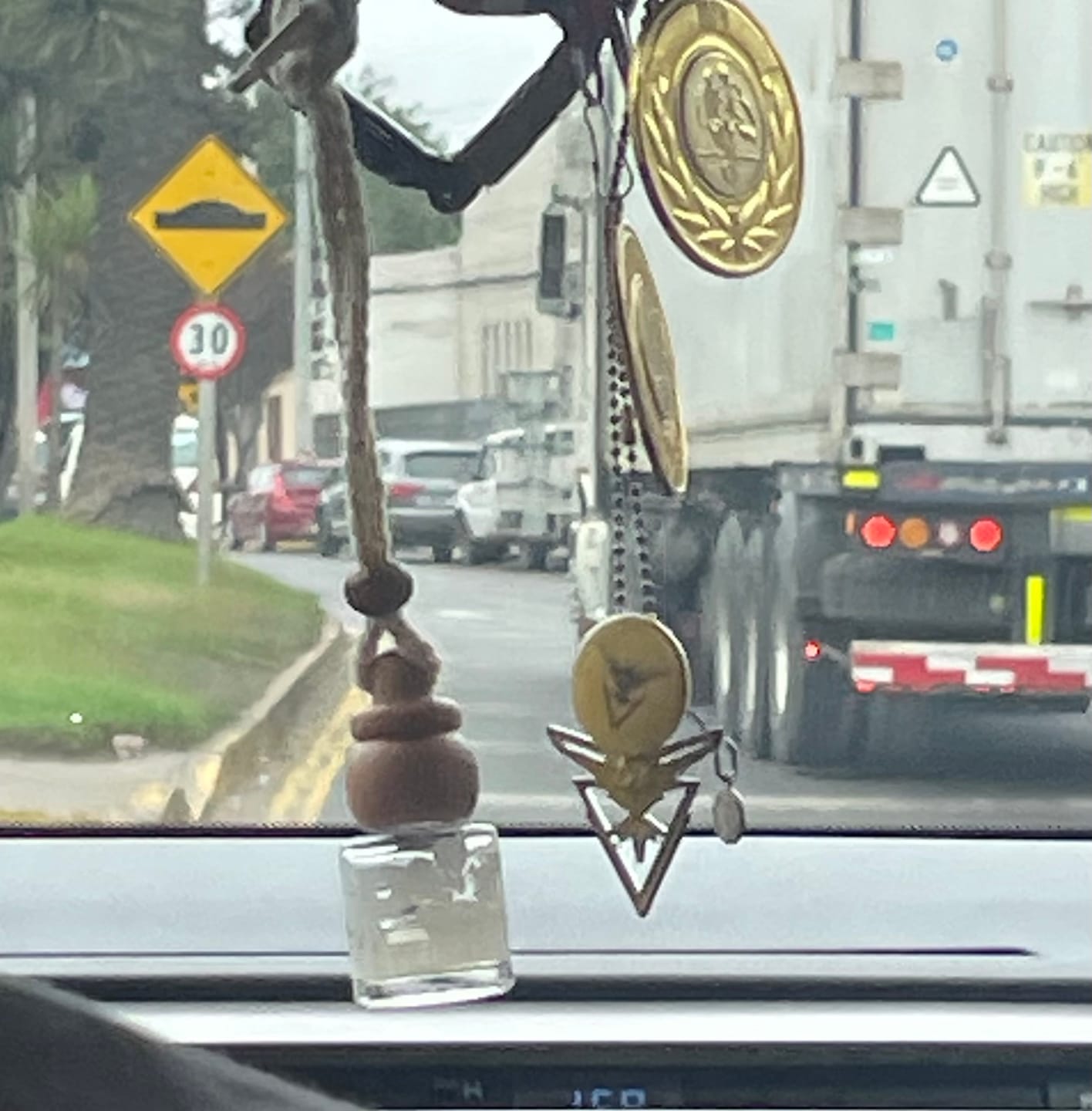Customer photo review of Aromatizador de Auto Ipanema