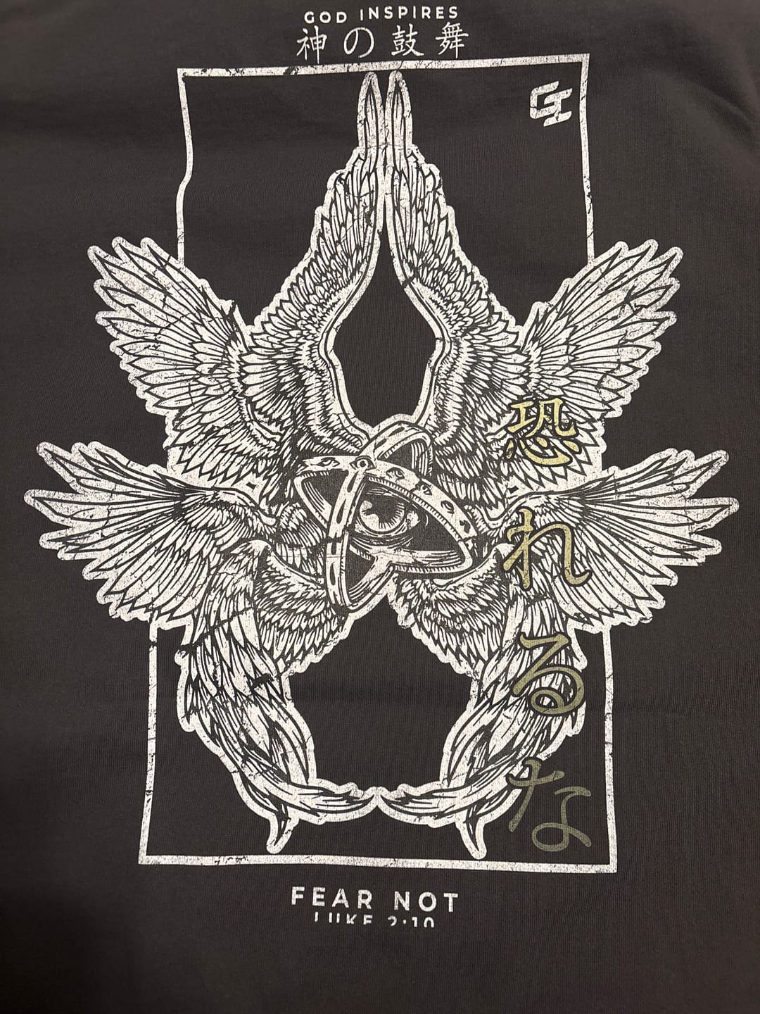 Customer photo review of 'Fear Not' Oversized Faded T-Shirt
