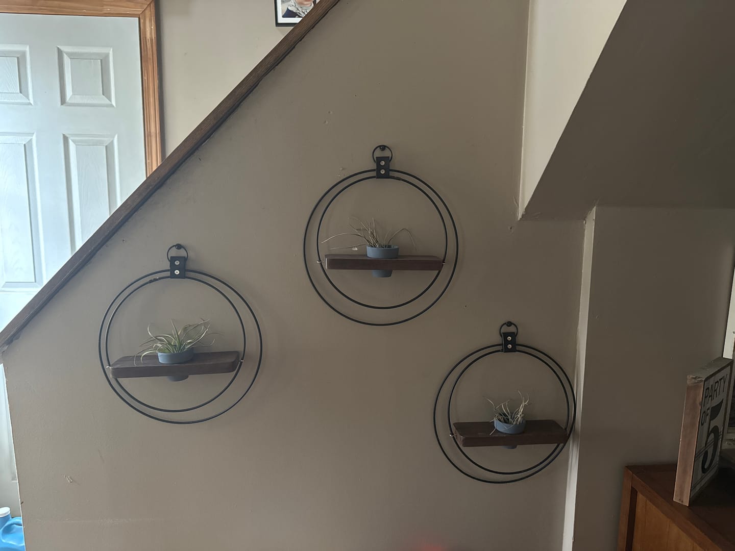 Customer photo review of Air Plant Shelf + Pot Trio