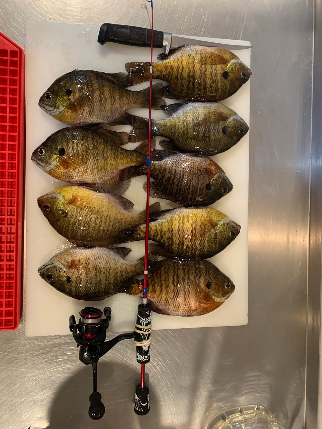 Customer photo review of Custom Carbon Ice Rod