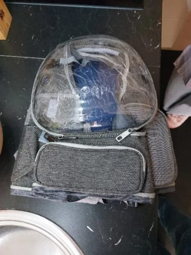Customer photo review of Mochila Astronauta Gato