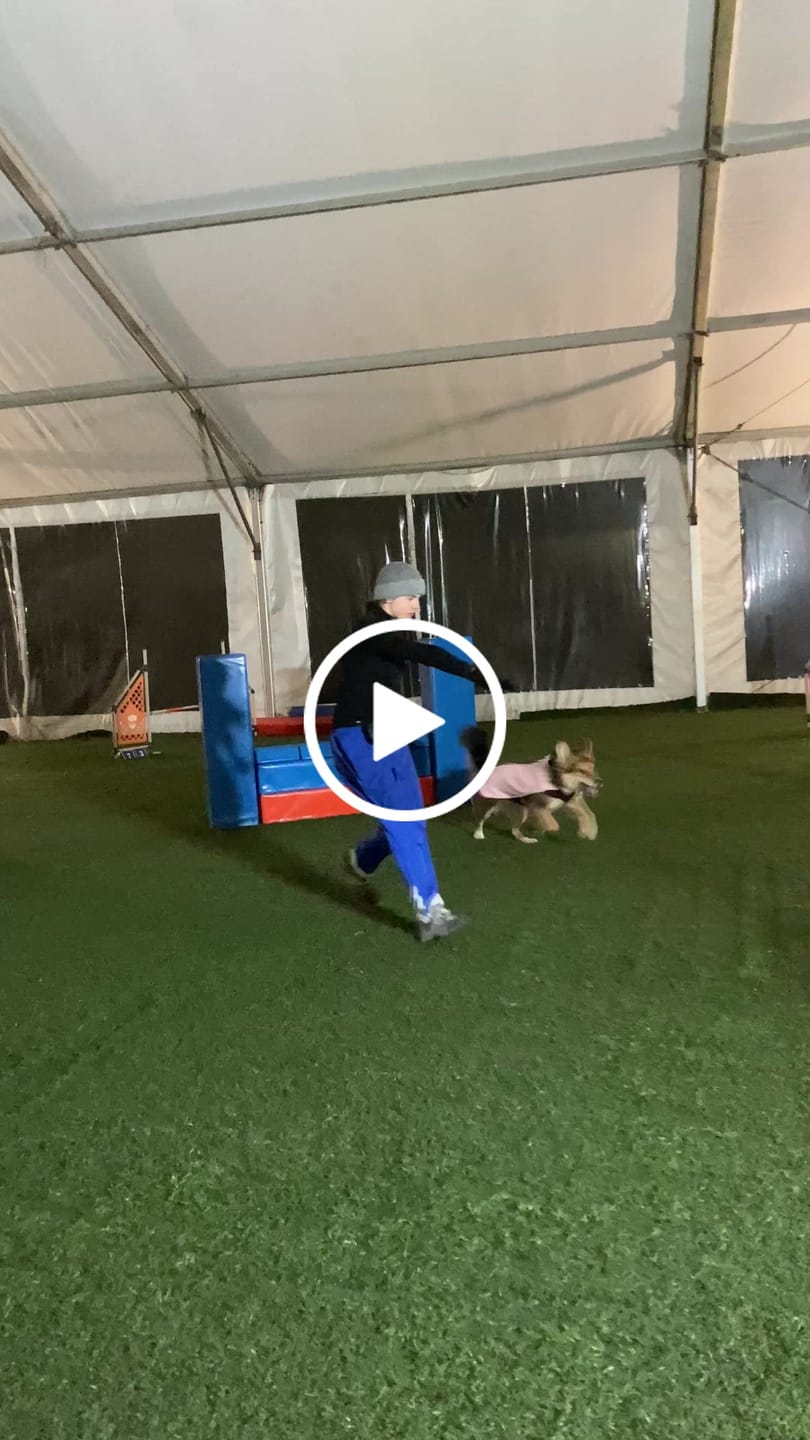Customer video review of Dog Fleece With Zip - Pink