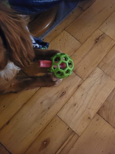 Customer photo review of Blueberry Yak Chews