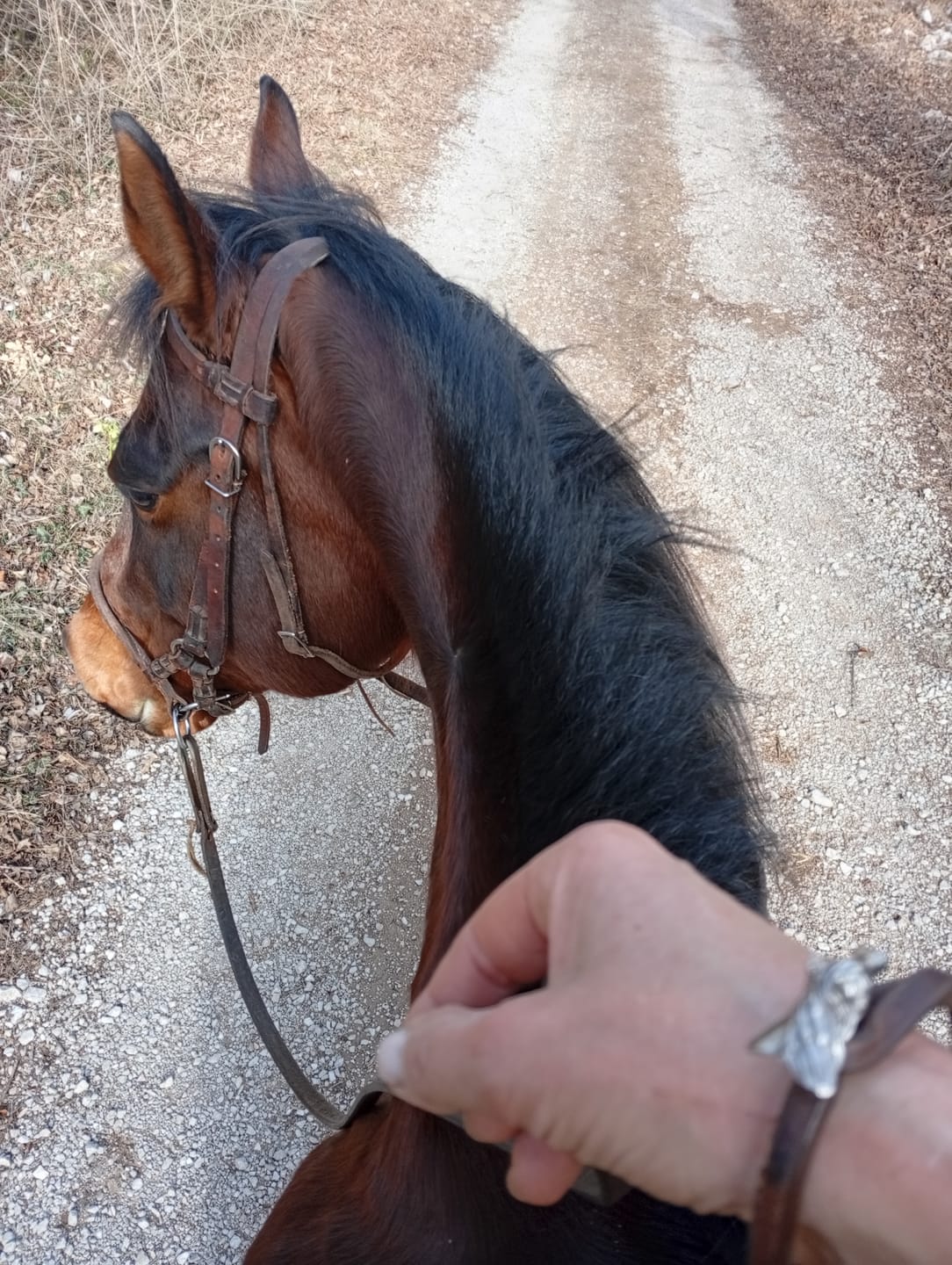 Customer photo review of Bracciale pelle Geo Cavallo Tulsi