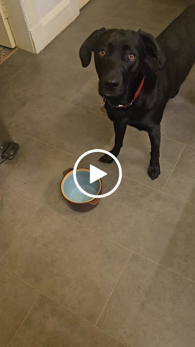 Customer video review of Natural Scottish Salmon Oil