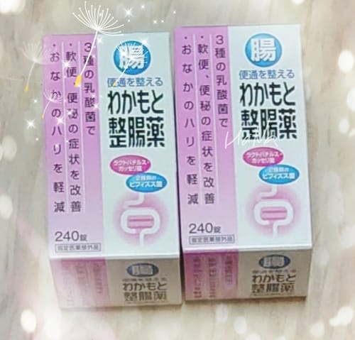 Customer photo review of Wakamoto 若元錠益生菌 乳酸菌整腸藥 240錠【指定醫藥部外品】