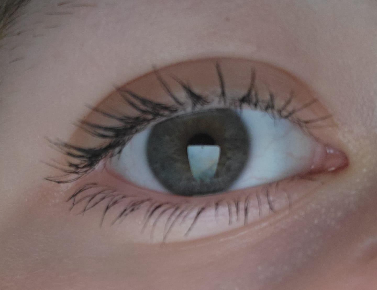 Customer photo review of P. Louise Tearproof Mascara 10g