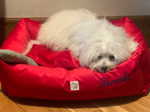 Customer photo review of Sottociotola Velluto