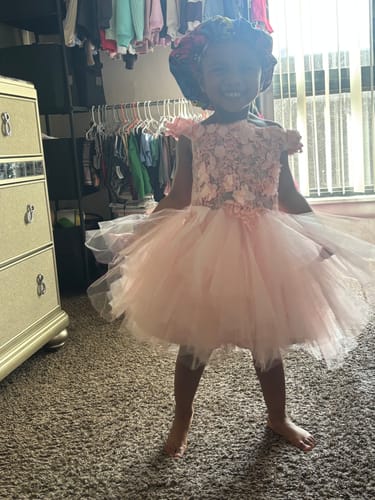 Customer photo review of Girls Pageant Princess Dresses Baby Girl Summer Embroidery Puffy Prom Dress