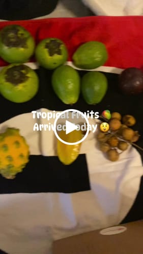 Customer video review of Random Box