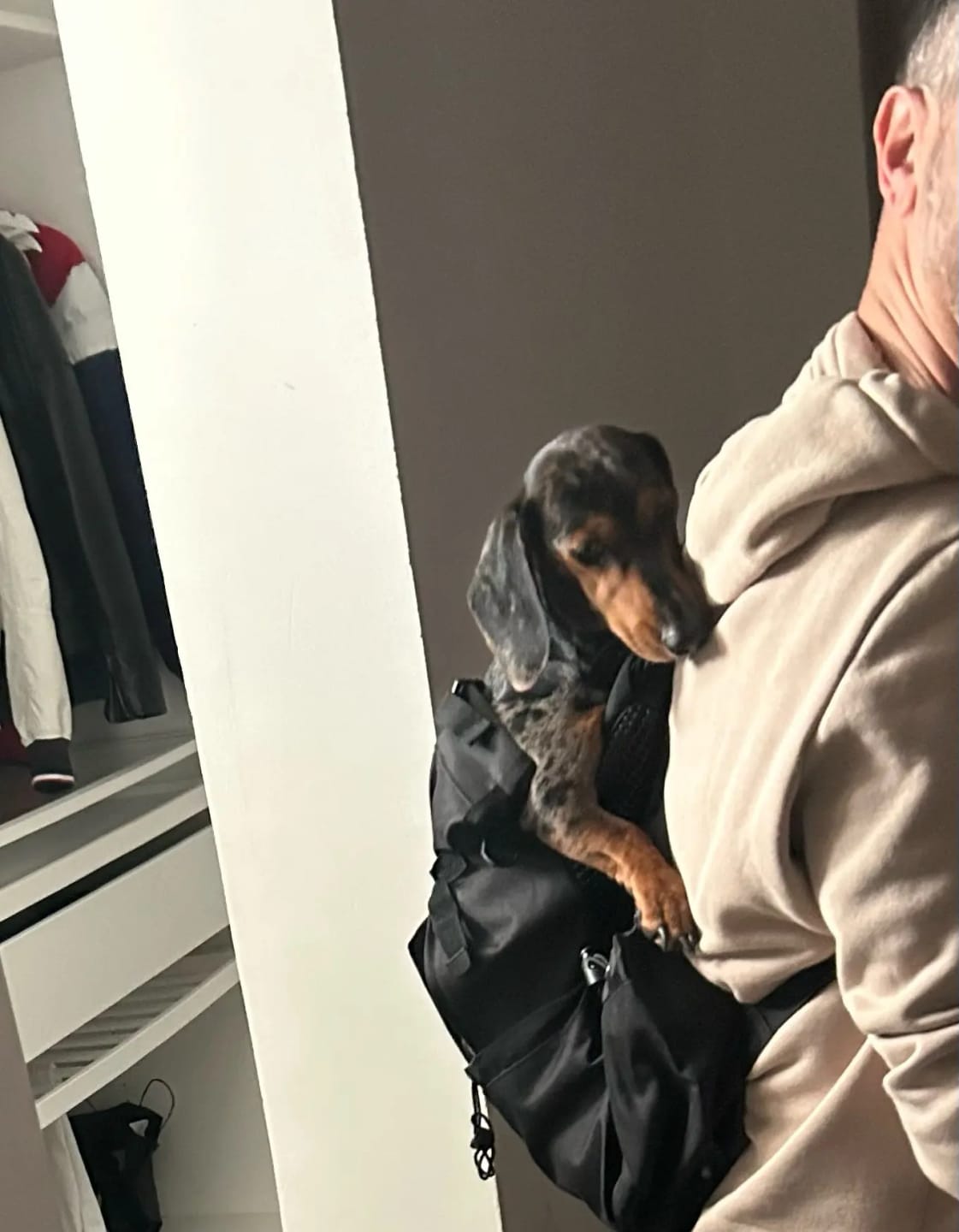 Customer photo review of Mochila para Transportar Cães