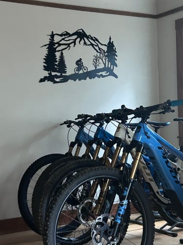 Customer photo review of Mountain Biker Scenery- Metal Wall Art