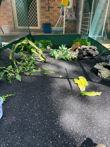 Customer photo review of PUC2000