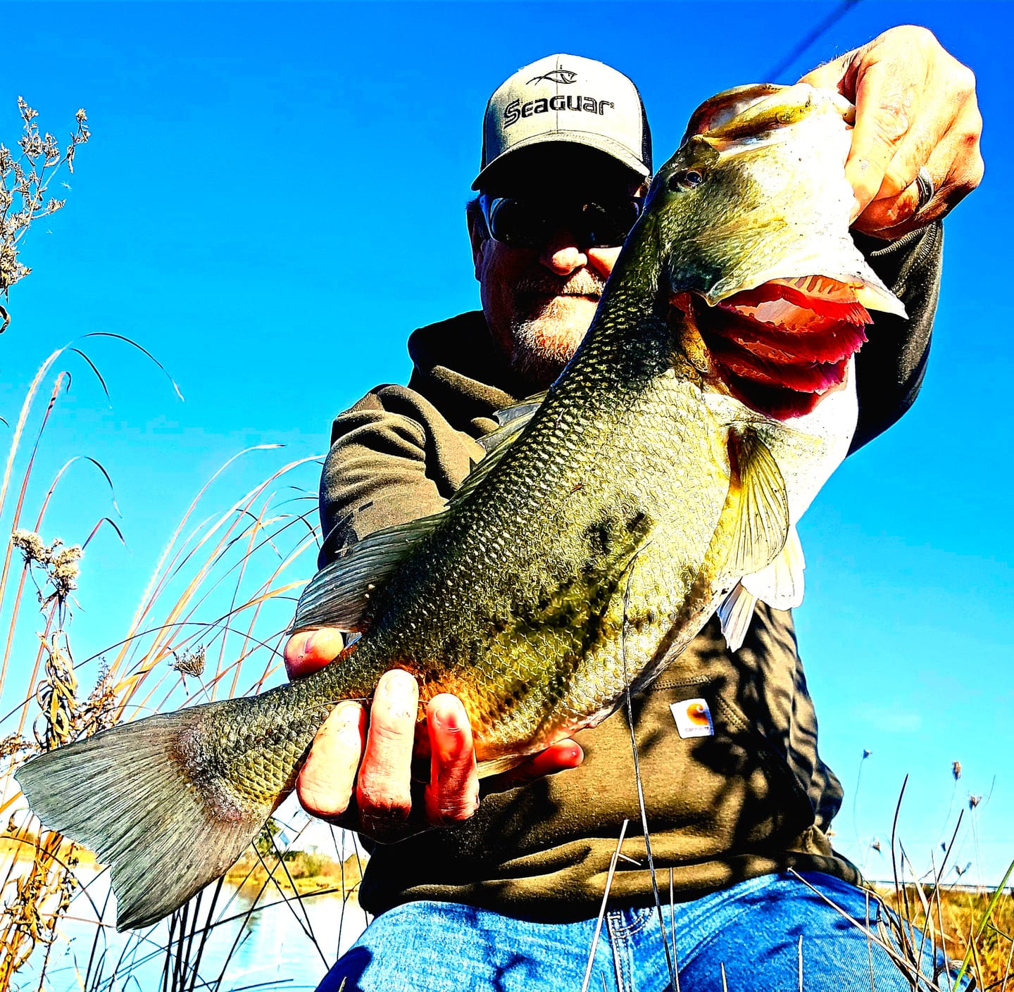 Customer photo review of 200% Sensitive Tungsten Worm Weights | Bullet Weights | 2 Colors 5 Pack
