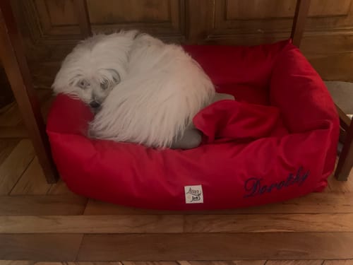 Customer photo review of Divanetto Velluto Rosso