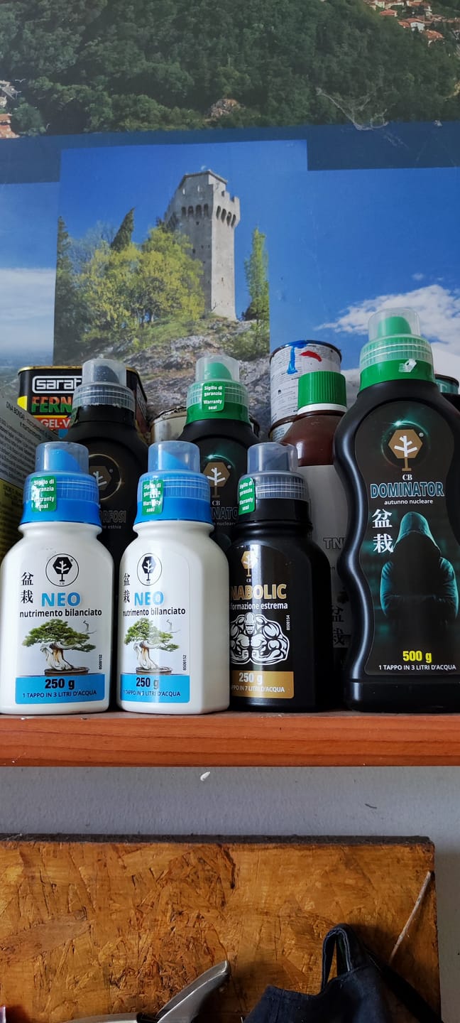 Customer photo review of ANABOLIC CB® (Trasformazione Estrema)