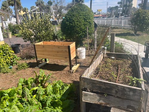 Customer photo review of 18" x 48" Raised Garden Bed