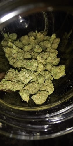 Customer photo review of Greenhouse Smalls