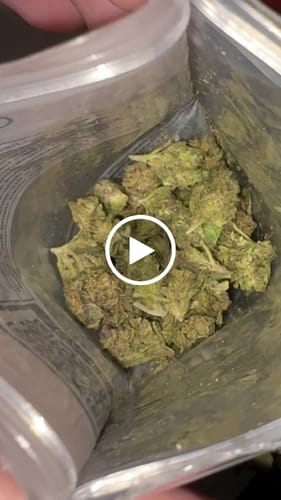 Customer video review of THCa Greenhouse Smalls