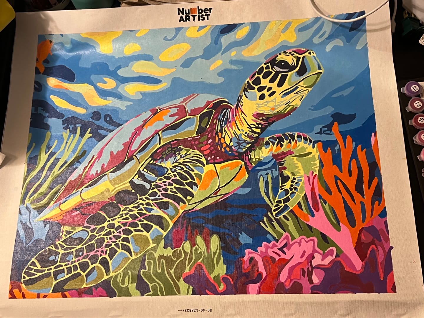 Customer photo review of Coral Reef Turtle