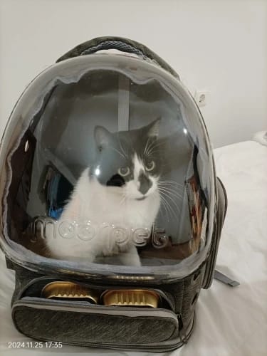 Customer photo review of Mochila Astronauta Gato