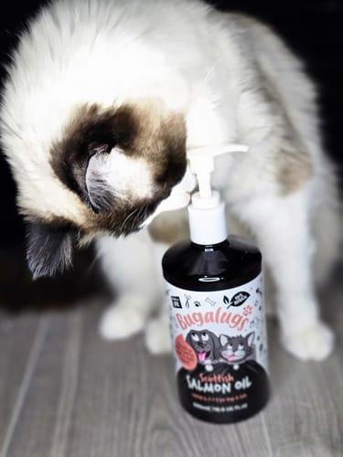 Customer photo review of Scottish Salmon Oil for Dogs & Cats
