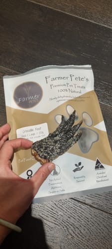 Customer photo review of Crocodile Feet