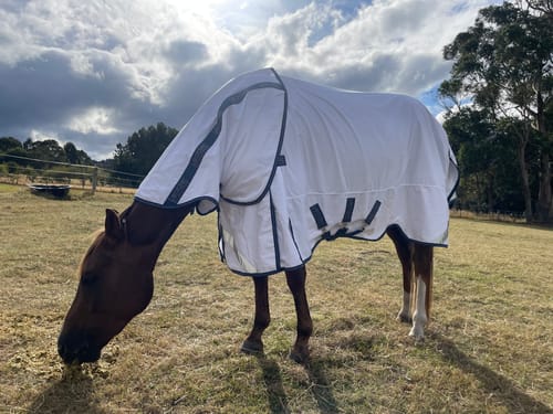 Customer photo review of LE Fieldsafe Summer Sheet