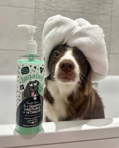 Customer photo review of 3 in 1 Tangle Tame Dog Shampoo, Conditioner & Detangler