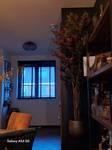 Customer photo review of Bougainvillea Kunstplant 150cm