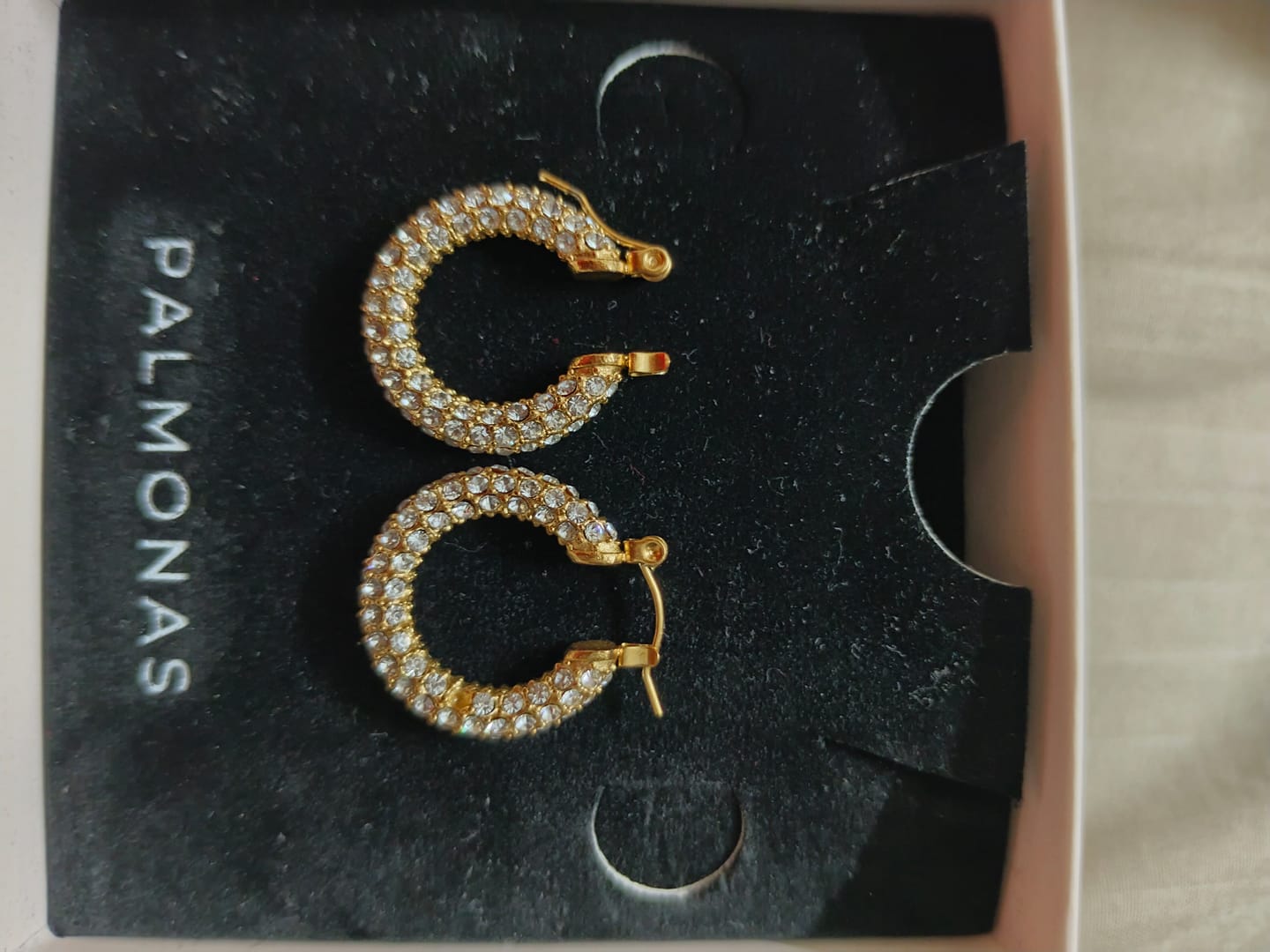 Customer photo review of Diamond Studded Hoop Earrings
