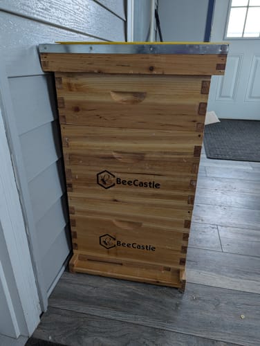 Customer photo review of BeeCastle Hives 10 Frame Wax Coat Complete Beehive Kit:2 Designed Deep Bee Boxes and 1 Super Medium Box,Includes Premium Wooden Frames and Beeswax-Plastic Foundation