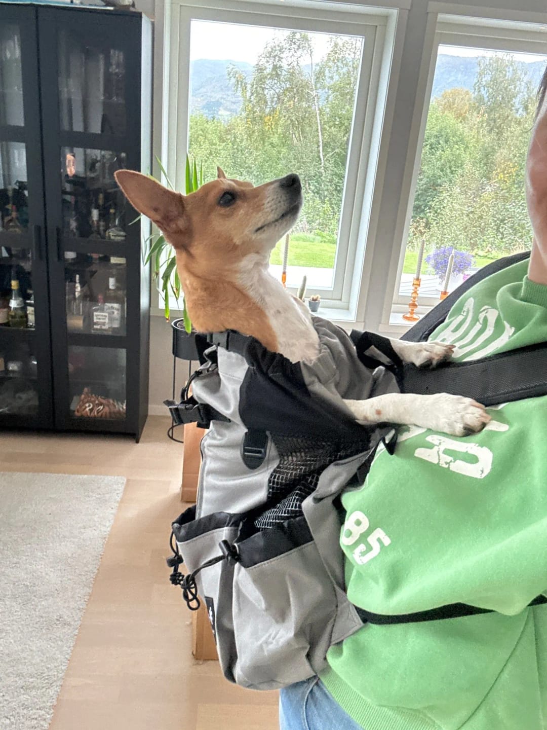 Customer photo review of Mochila para Transportar Cães
