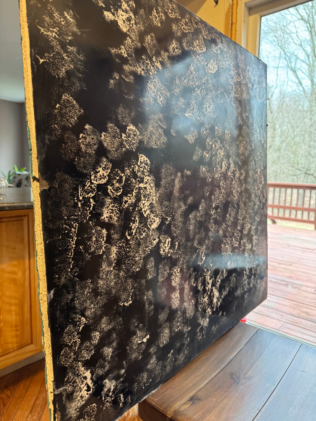 Customer photo review of Venetian Plaster Starter Kit