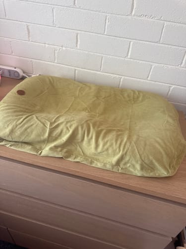Customer photo review of CLEARANCE Avocado 3D Mesh Baby Lounger