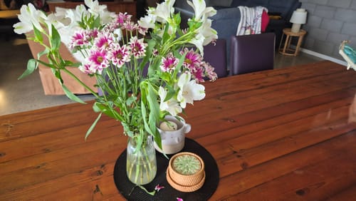 Customer photo review of Bliss Rattan Coasters (Set of 6)
