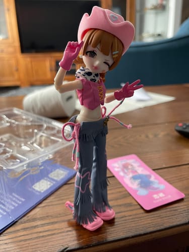 Customer photo review of Eve Lynna Dream Paradise Series Action Figure Blind Box