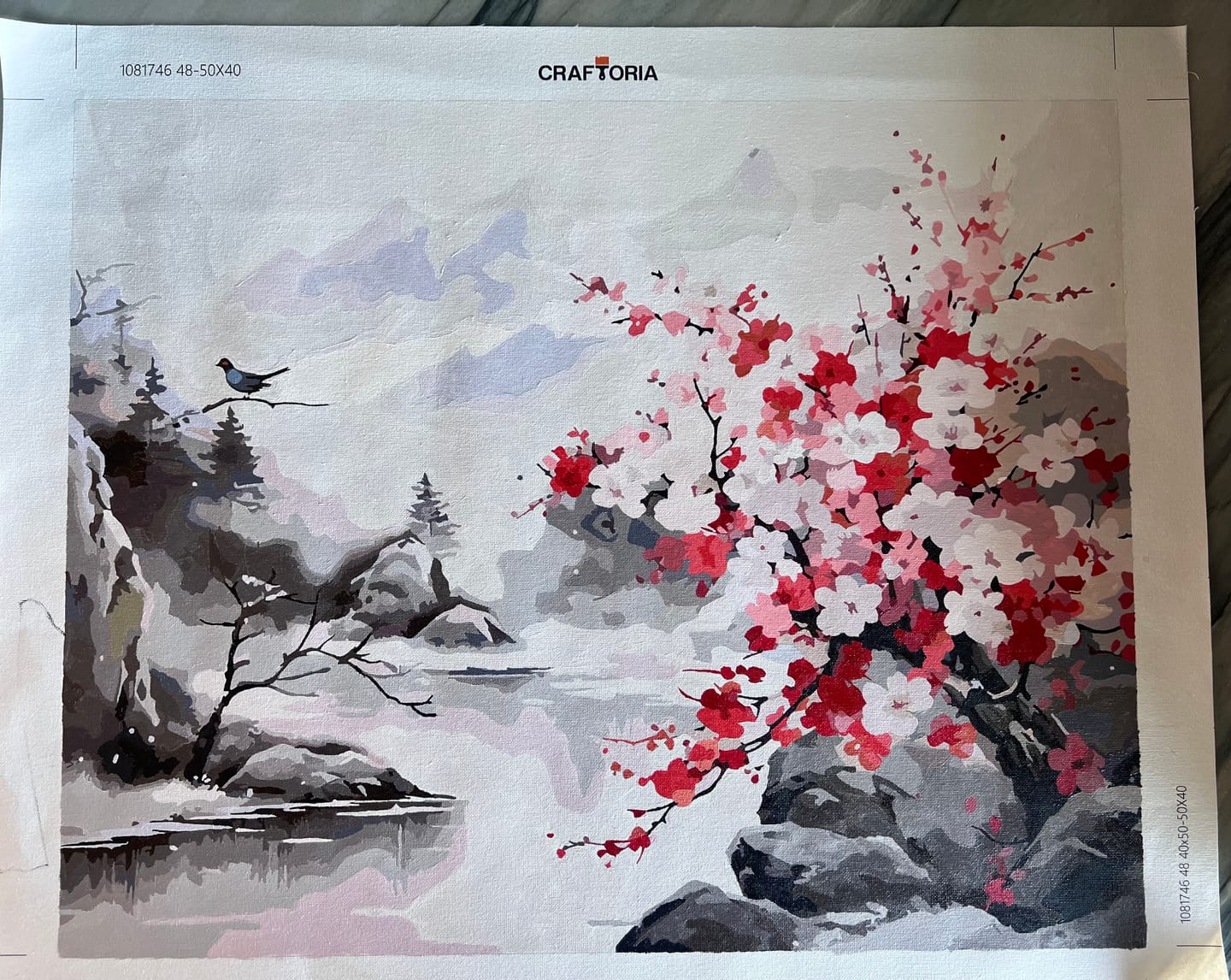 Customer photo review of Serene Bloom Frostscape