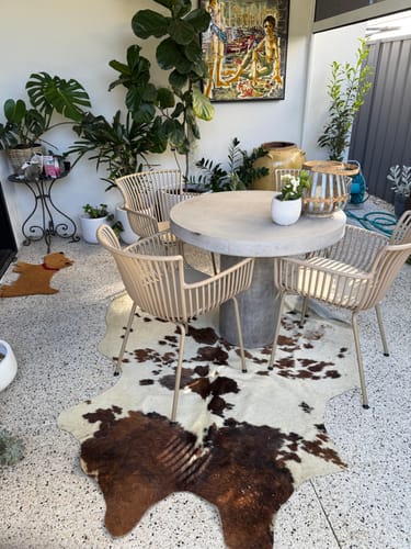 Customer photo review of Boyd Dining Chair in Beige
