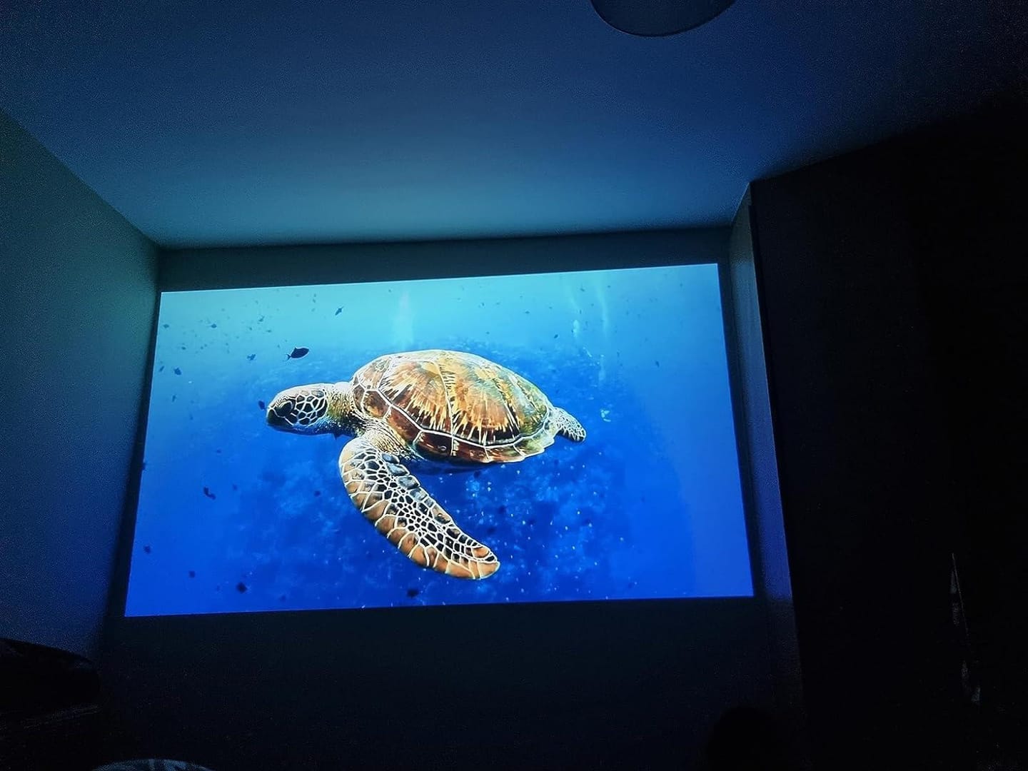 Customer photo review of ETOE Seal Pro Google TV Projector