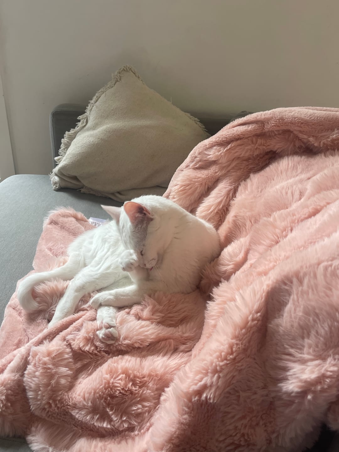 Customer photo review of THE CLOUD BLANKET BY COUCHCOATS™