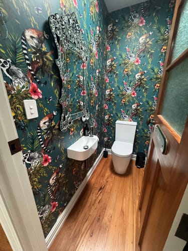 Customer photo review of Lemur Wallpaper - Teal