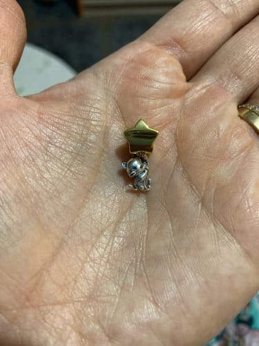 C. A. review of 925 Sterling Silver Kitty Cat Charm image 1 out of 1