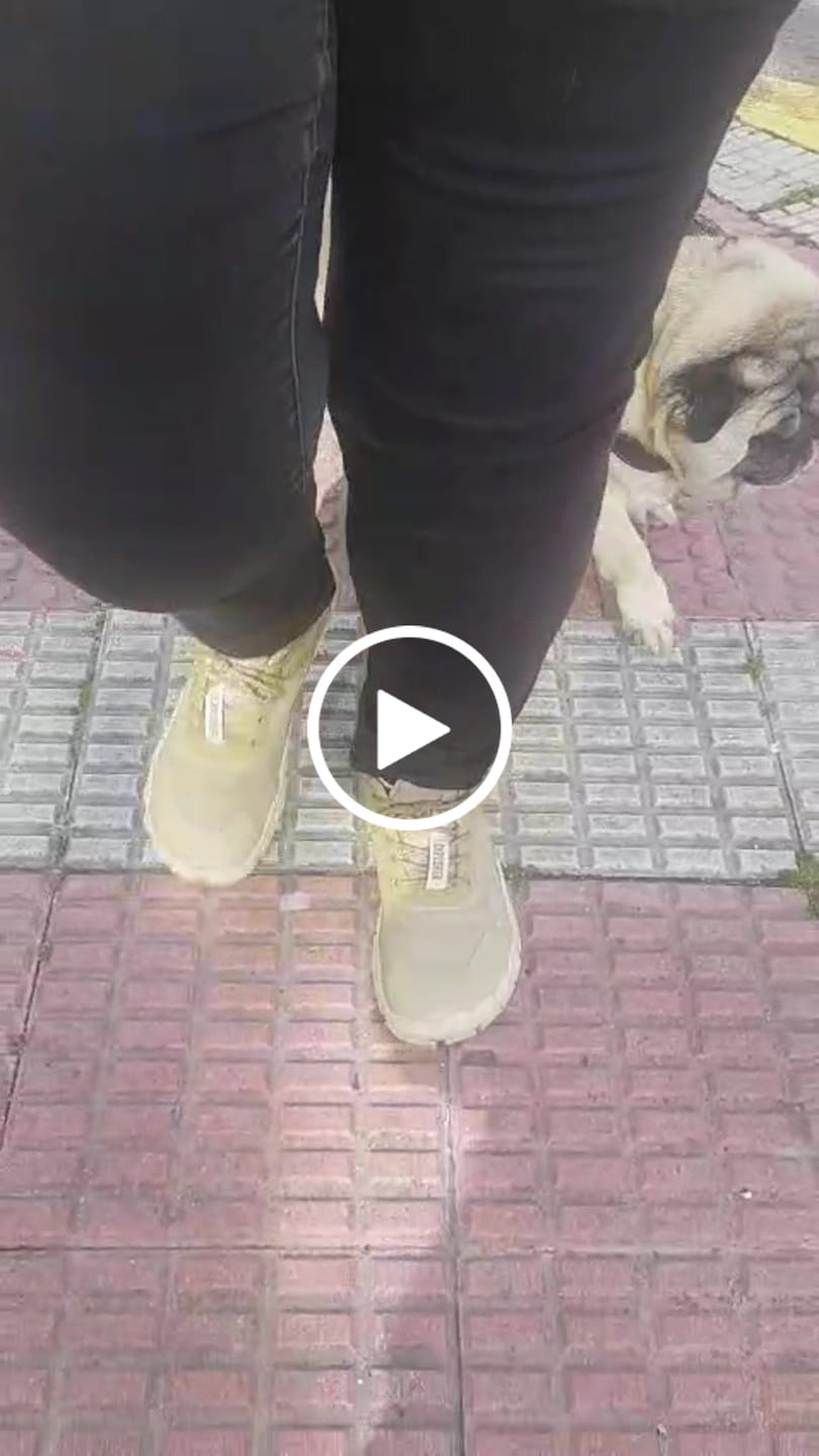Customer video review of Plantilla transición- Active