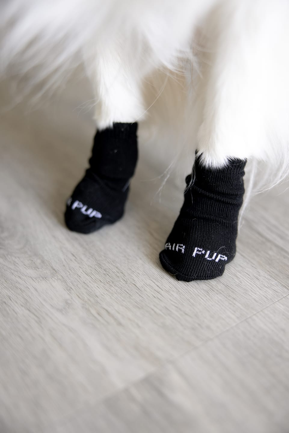 Customer photo review of AIR PUP SOCKS / BOOT LINERS